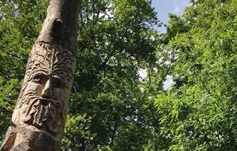 A wooden face carved into a tree at High Woods Country Park