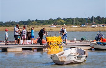 Brightlingsea Harbour duck race