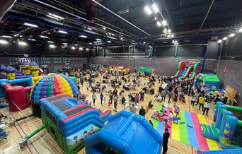 Mega Inflatables - Fun Day