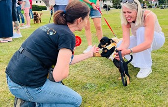 Family Fun Day & Dog Show