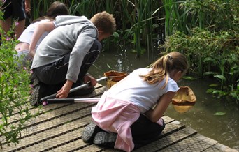 Grange Farm Pond Dipping