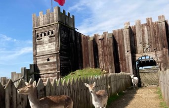 Mountfitchet Castle Easter Bunny Hunt
