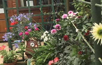 HARWICH SECRET GARDENS
