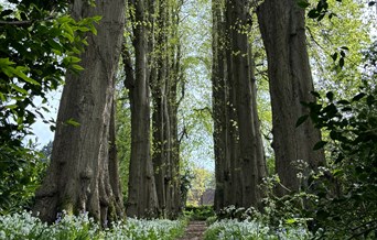 The Gibberd Garden