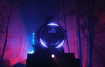 Lights Express Party Train