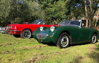 Classic Car Show