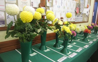 Autumn Show