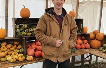 Otto's Pumpkin Patch