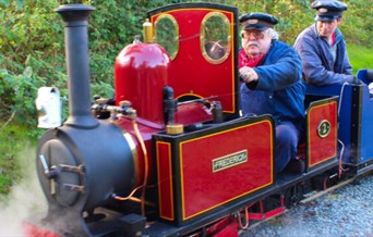 Small Train Day (w/ Unlimited Steam Train rides)