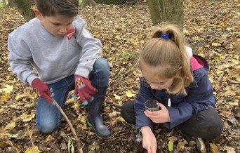 Belfairs Creepy Crawlies