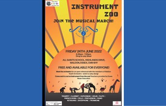 MYO - Instrument zoo and orchestra rehearsal
