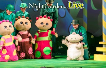 In The Night Garden Live