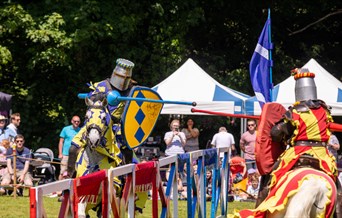 Spring Joust