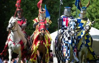 Knights of Royal London Joust