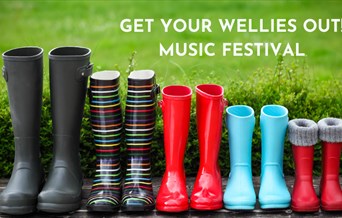 Row of different size and colour wellies against grassy background