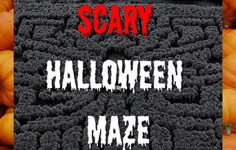 Scary Halloween Maze logo