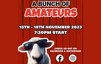 Poster for A Bunch of Amateurs with a sheep wearing sunglasses