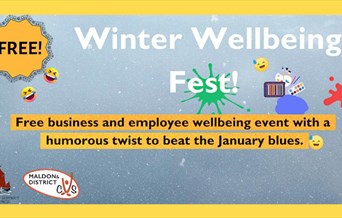 Winter Wellbeing fest poster