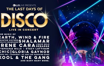 The Last Days of Disco