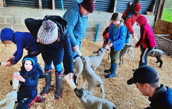 Lamb Season at Layer Marney Tower