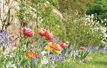 a spring garden