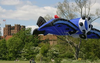 Kite Flying