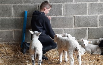 Easter Fun