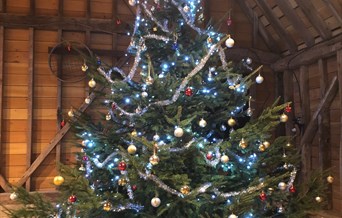 Christmas Matinee - 'Twas the night before Christmas
