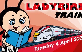 Ladybird Train
