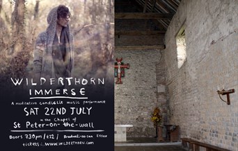 Wilderthorn Immerse