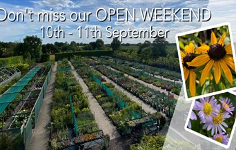 Langthorns Plantery Open Weekend