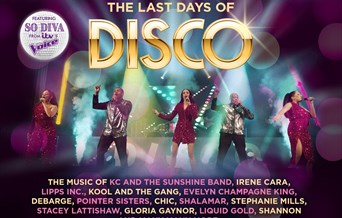 The Last Days Of Disco
