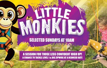 High Ropes - Little Monkeys