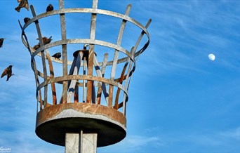 Top of Maldon's beacon with starlings