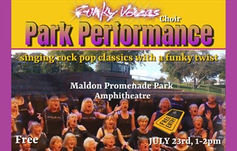 Funky Voices choir poster