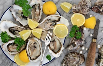 Plate of oysters