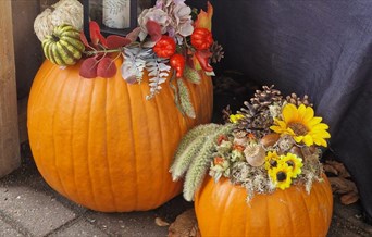 Decorated pumpkins at Maldon Prom Zoo