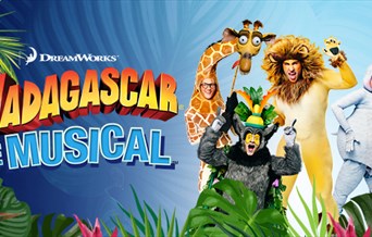 Madagascar The Musical