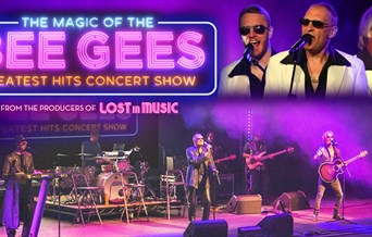 The Magic Of The Bee Gees