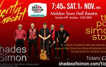 Shades of Simon - The Paul Simon story