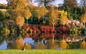 Marks Hall in Autumn