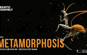 Metamorphosis
