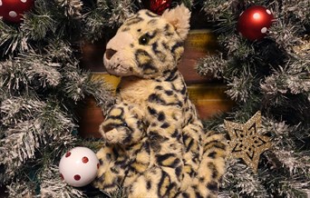 The Santa Experience