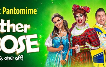 Mother Goose - Adult Panto