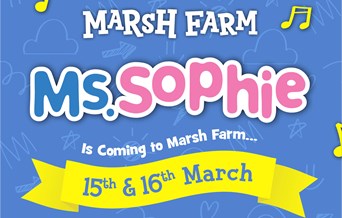 Meet Ms. Sophie at Marsh Farm