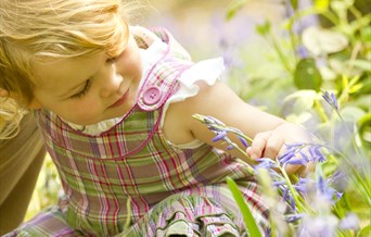 Hanningfield Nature Tots Summer Special