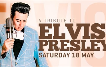 Elvis Tribute Night