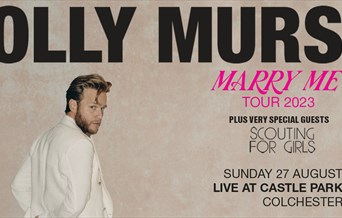 Olly Murs - Marry Me