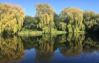 Newland Hall Fishery