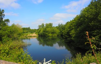 Fingringhoe Wick North View